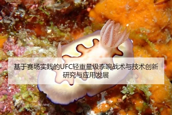 基于赛场实践的UFC轻重量级李响战术与技术创新研究与应用发展