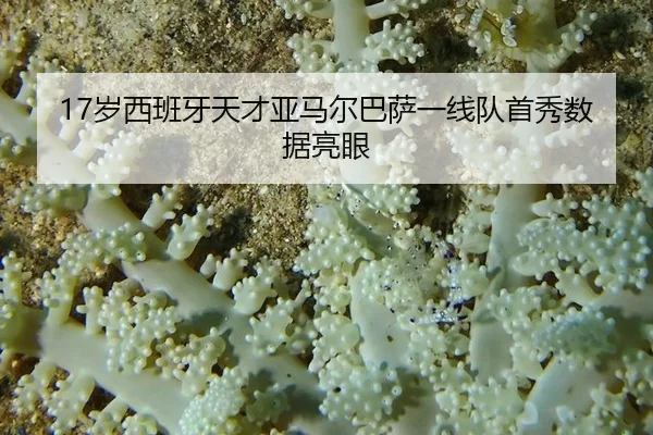 17岁西班牙天才亚马尔巴萨一线队首秀数据亮眼
