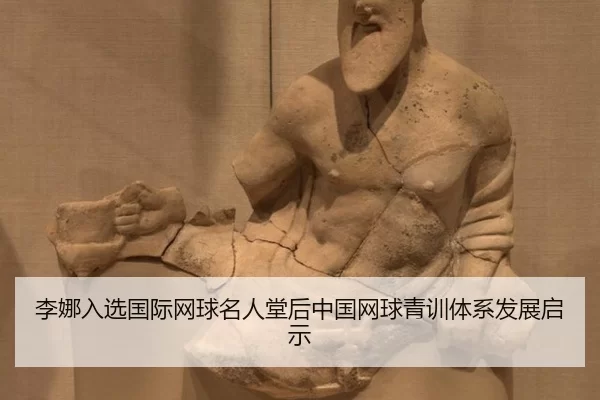 li-na-ru-xuan-guo-ji-wang-qiu-ming-ren-tang-hou-zhong-guo-wang-qiu-qing-xun-ti-xi-fa-zhan-qi-shi-3-236.jpg